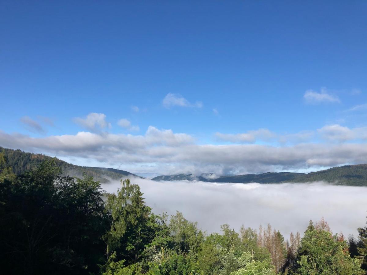 Le Gite Cozy De Bouvacote Avec Vue Panoramique Et Sauna Le Tholy Εξωτερικό φωτογραφία