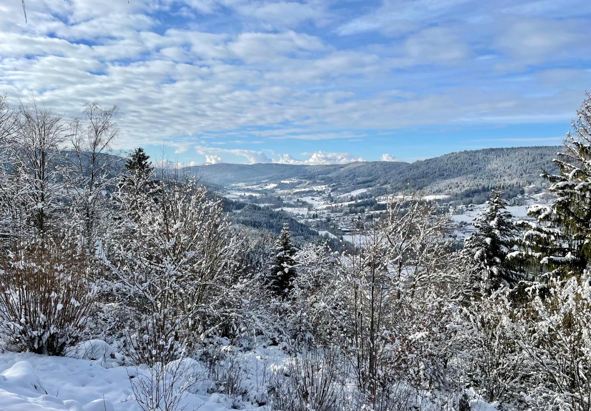 Le Gite Cozy De Bouvacote Avec Vue Panoramique Et Sauna Le Tholy Εξωτερικό φωτογραφία