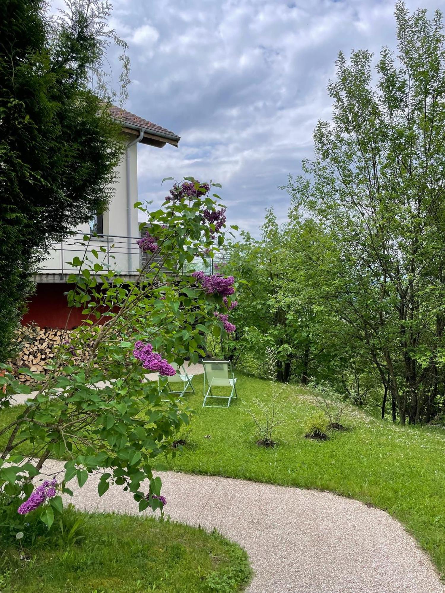 Le Gite Cozy De Bouvacote Avec Vue Panoramique Et Sauna Le Tholy Εξωτερικό φωτογραφία