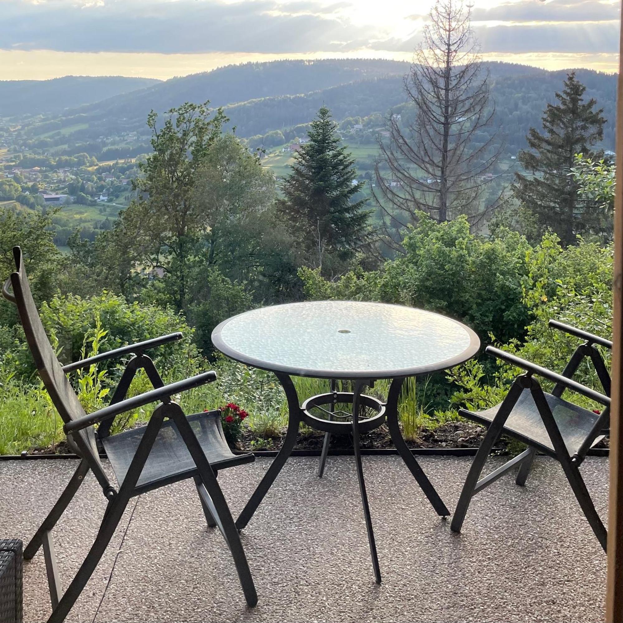 Le Gite Cozy De Bouvacote Avec Vue Panoramique Et Sauna Le Tholy Εξωτερικό φωτογραφία